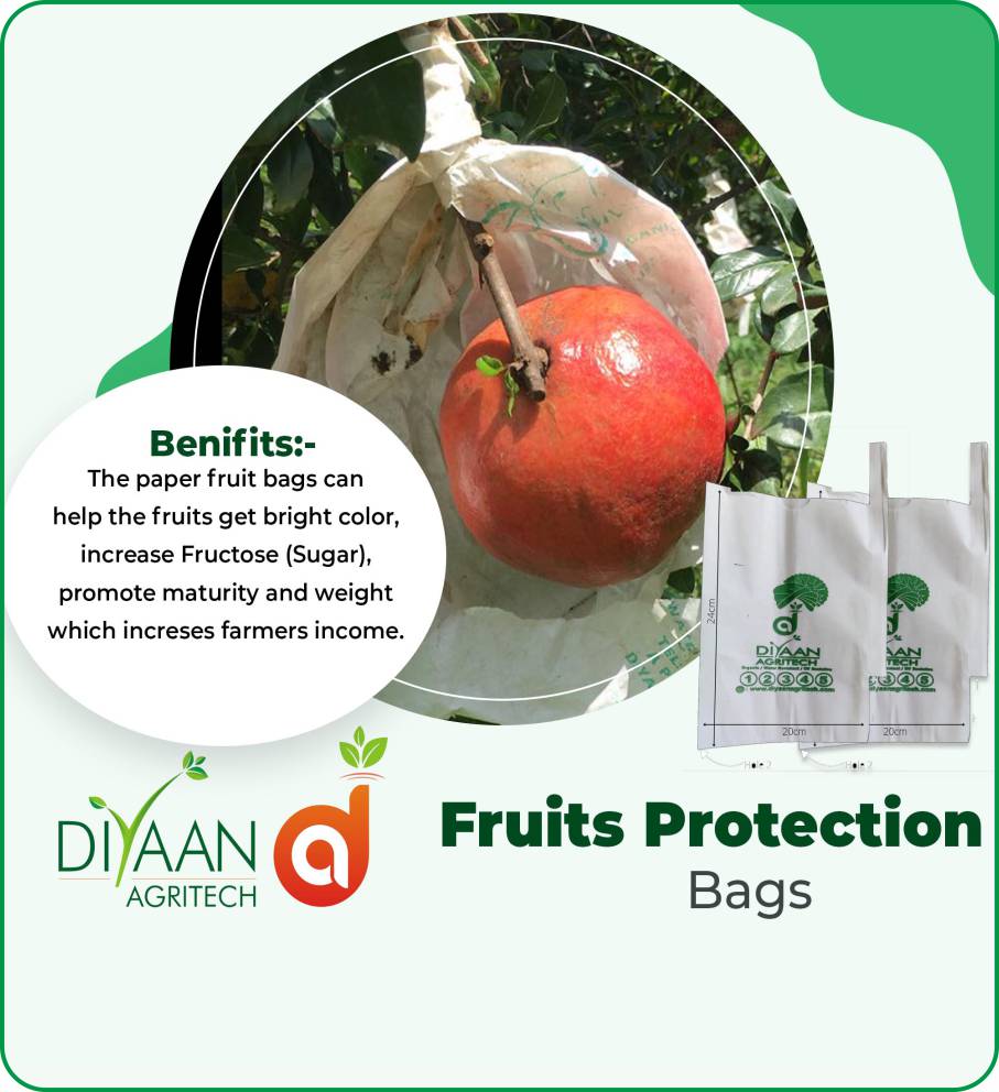 Pomegranate Protection Bags